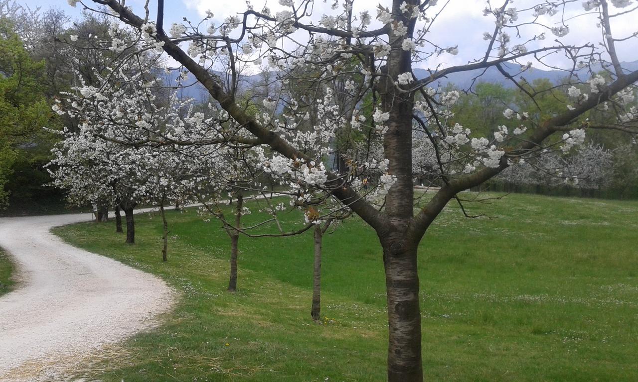 Albergo Rurale Parco Di San Floriano Polcenigo 외부 사진
